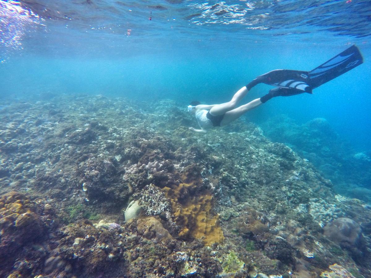 Imanuel Surfing B&B Heng-ch'un Exteriér fotografie